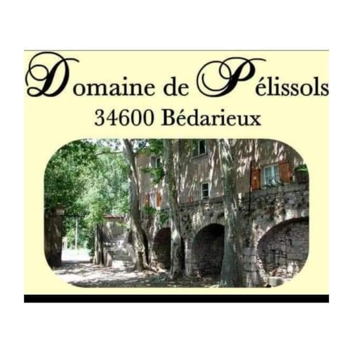 Chambres D'Hotes Domaine De Pelissols Bedarieux Exterior photo